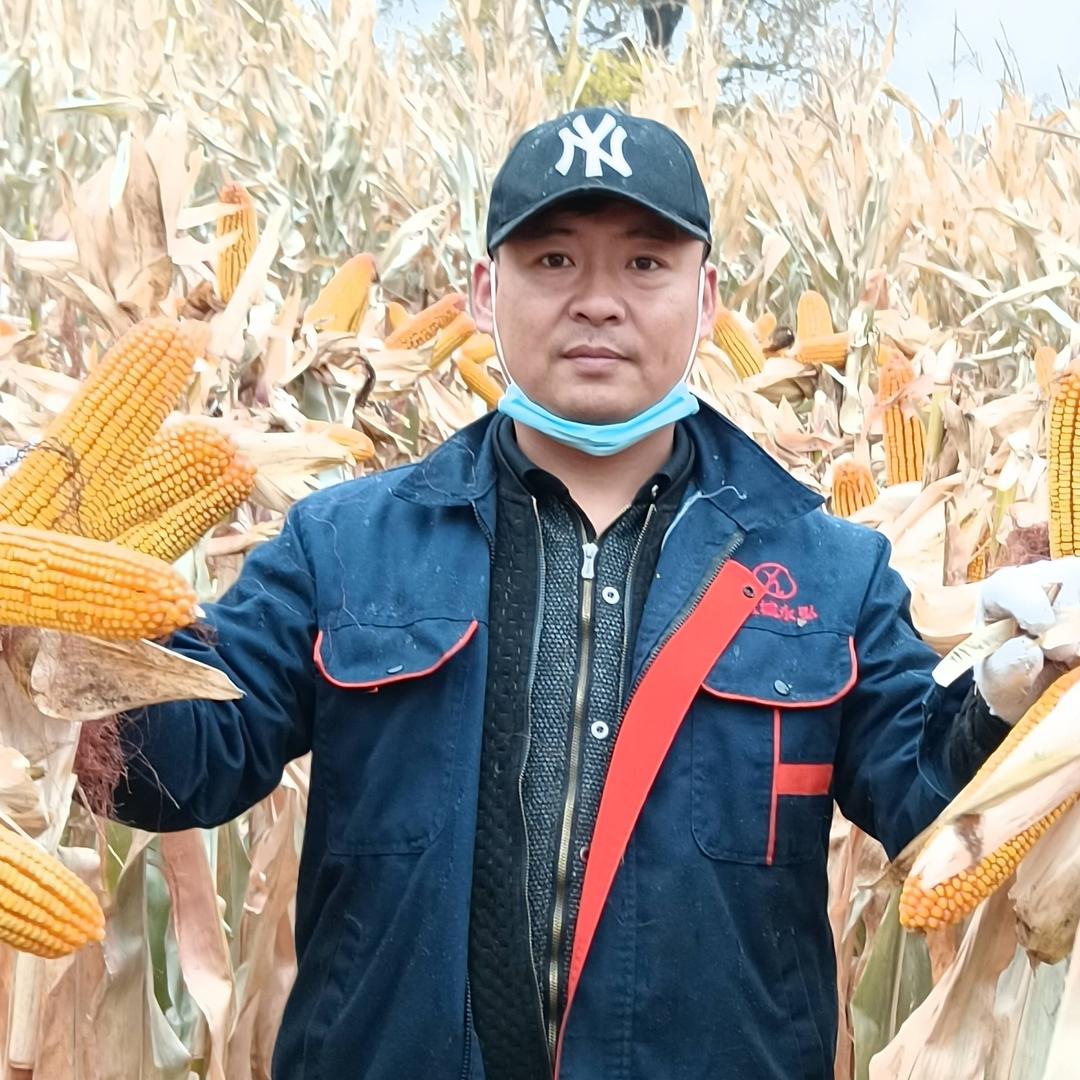 赵常说