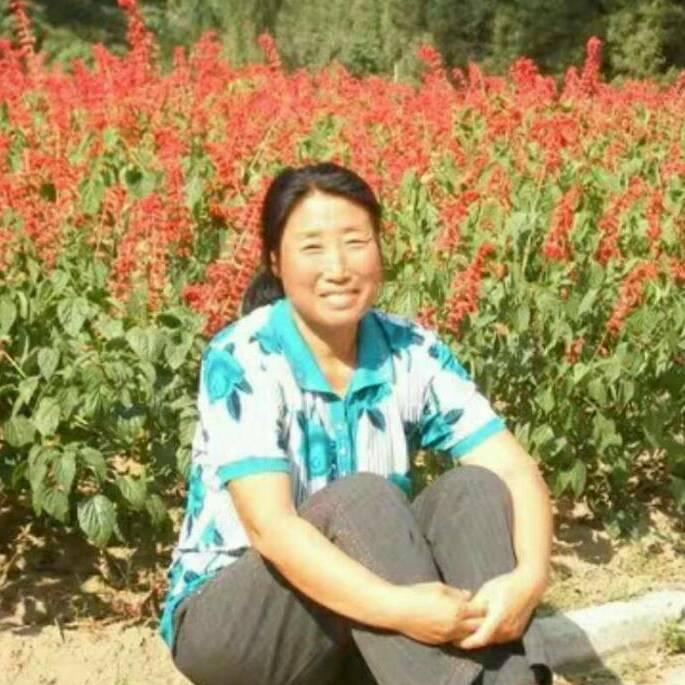 善良女人在火山