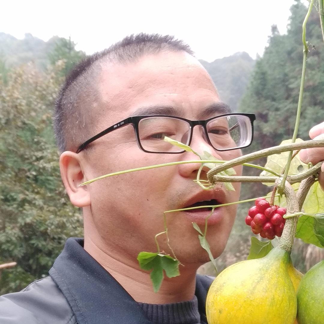 忧郁野狼*