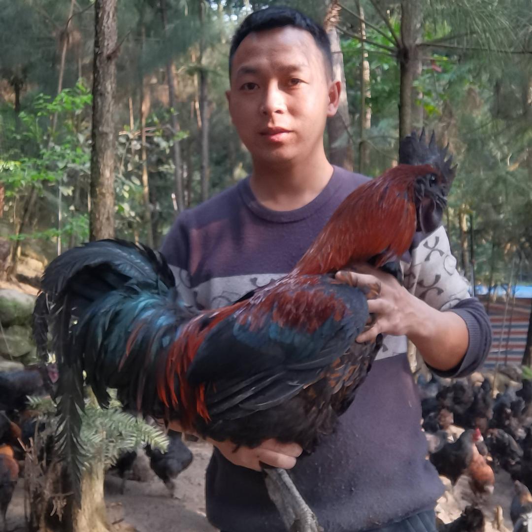 鑫荣家庭农场