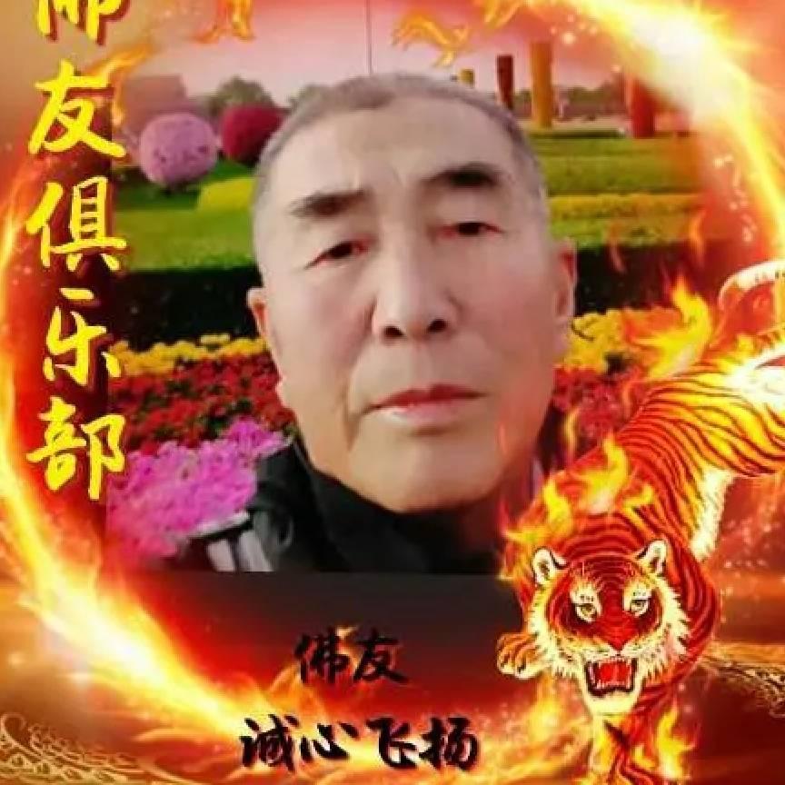 诚心飞扬