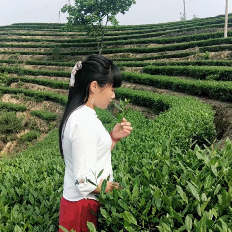 自家茶园，小吴