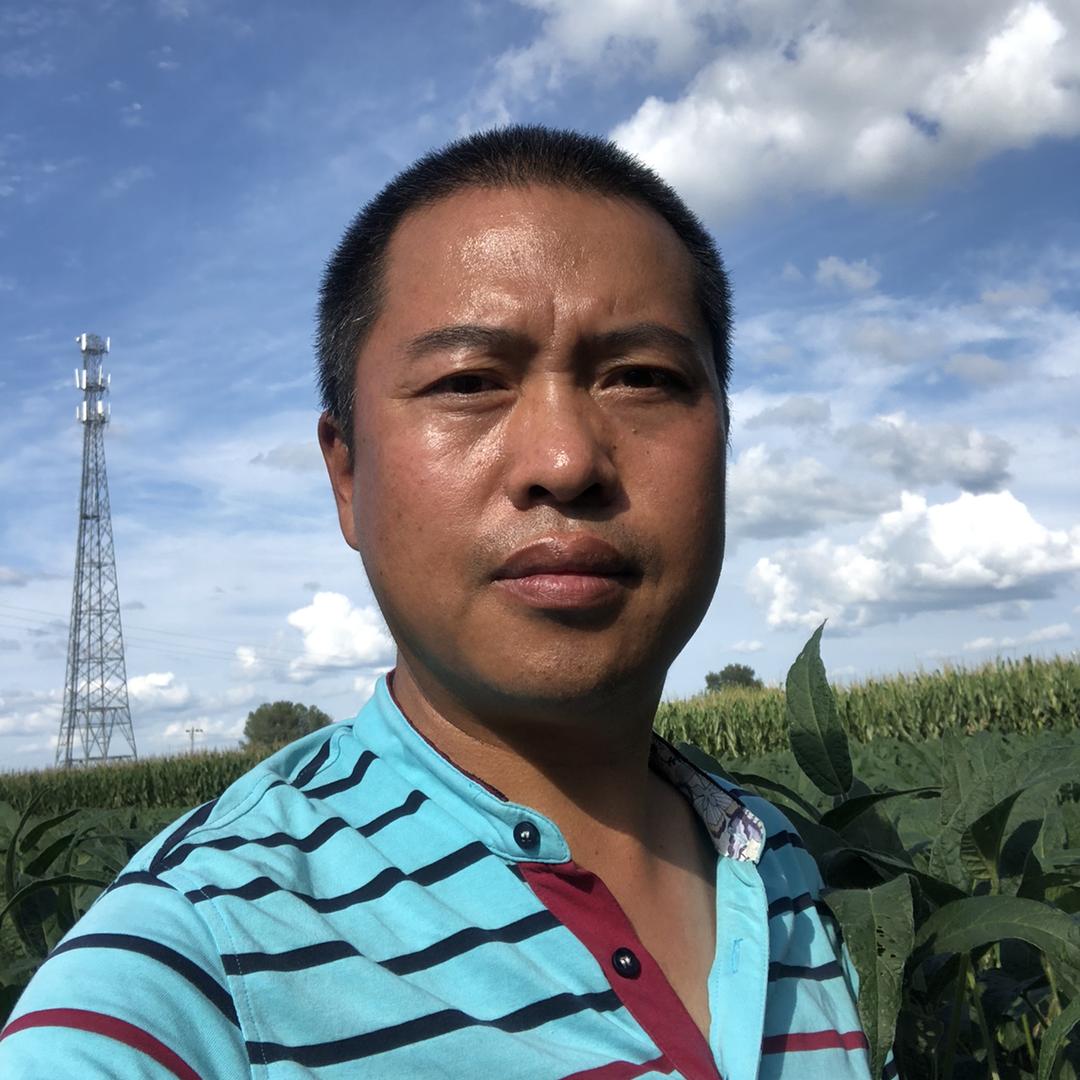 幸福哥陪你看天气
