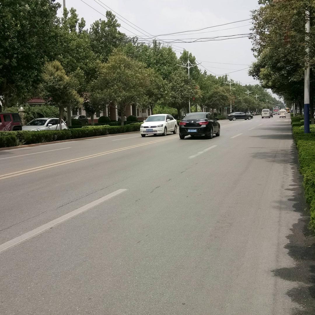 迷人的路