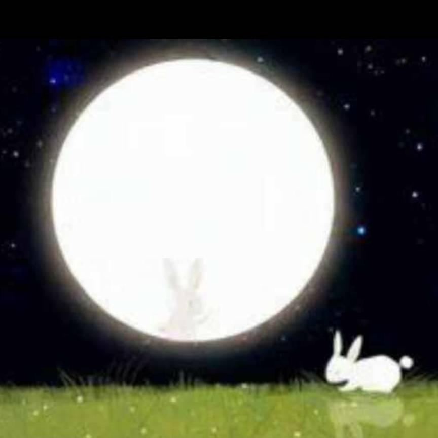 月亮🌙姐姐