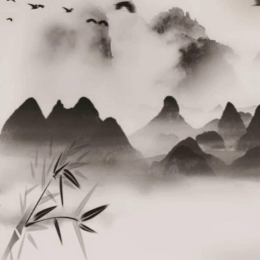 崔老师