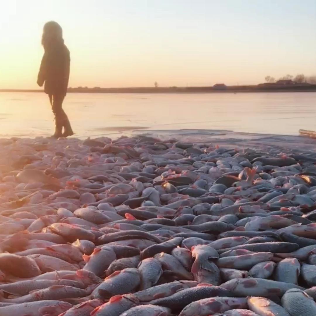 浟殤