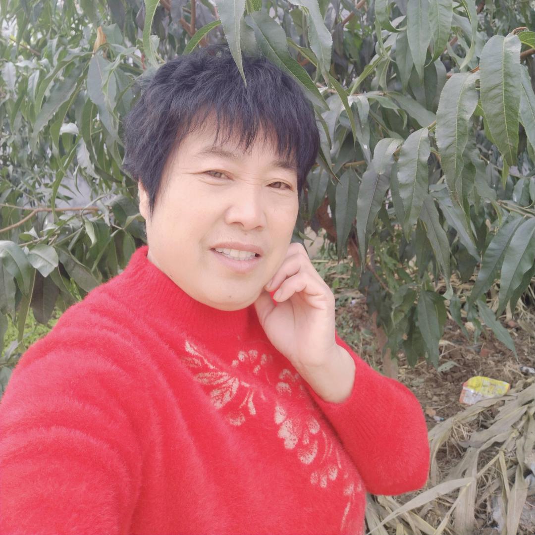 梦想成真384427