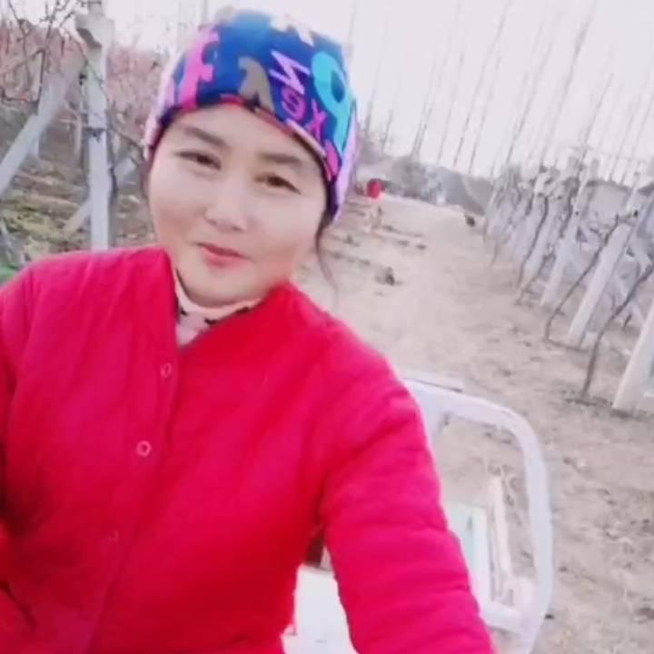 小黑的姥姥