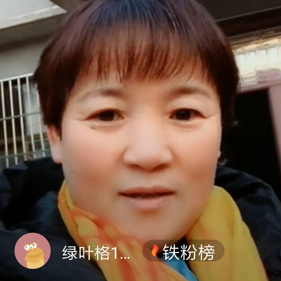绿叶格123