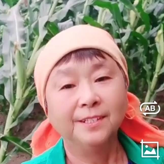 忙里偷闲