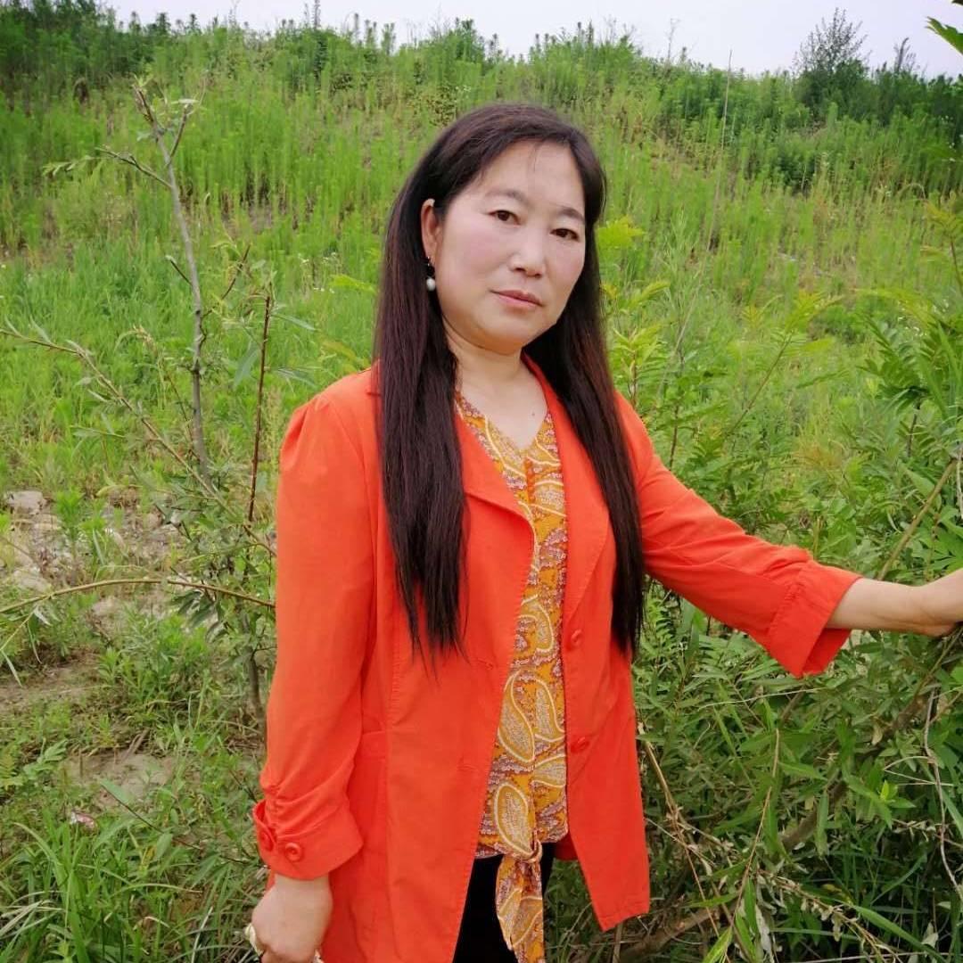 杨行花