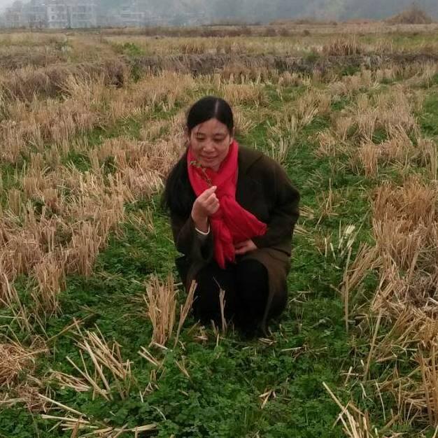 湖南妹子