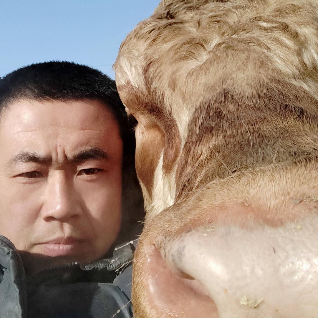 辍热的冰棍