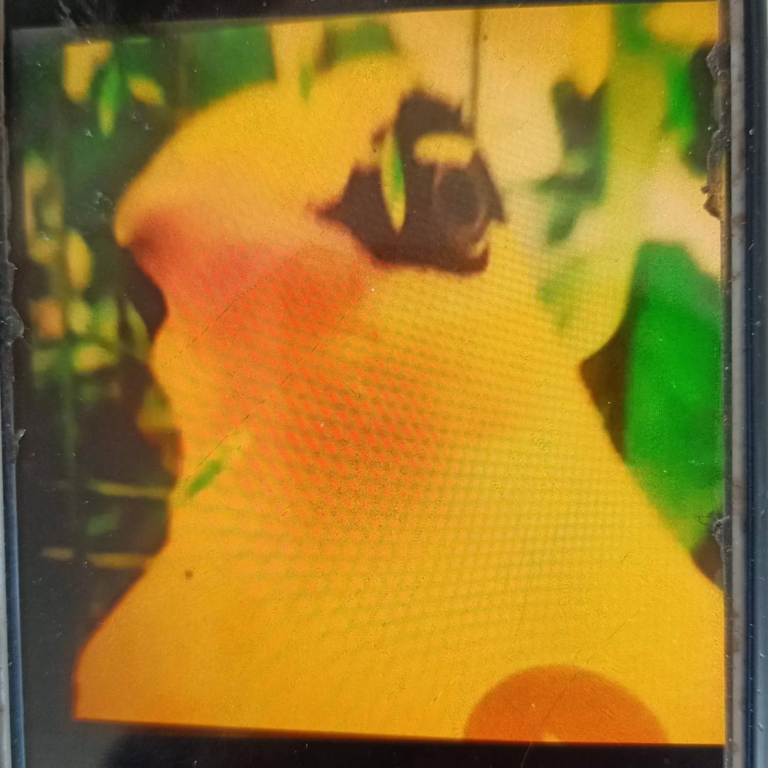 ☁蓝天白云☁5792