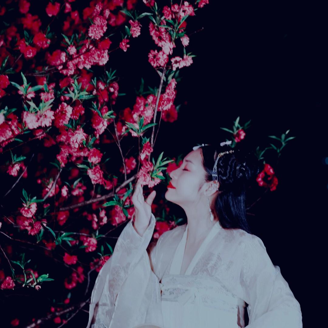 谷诺诺🌸