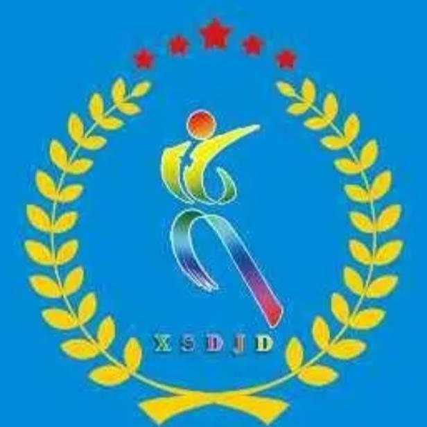 王队（王行天下）