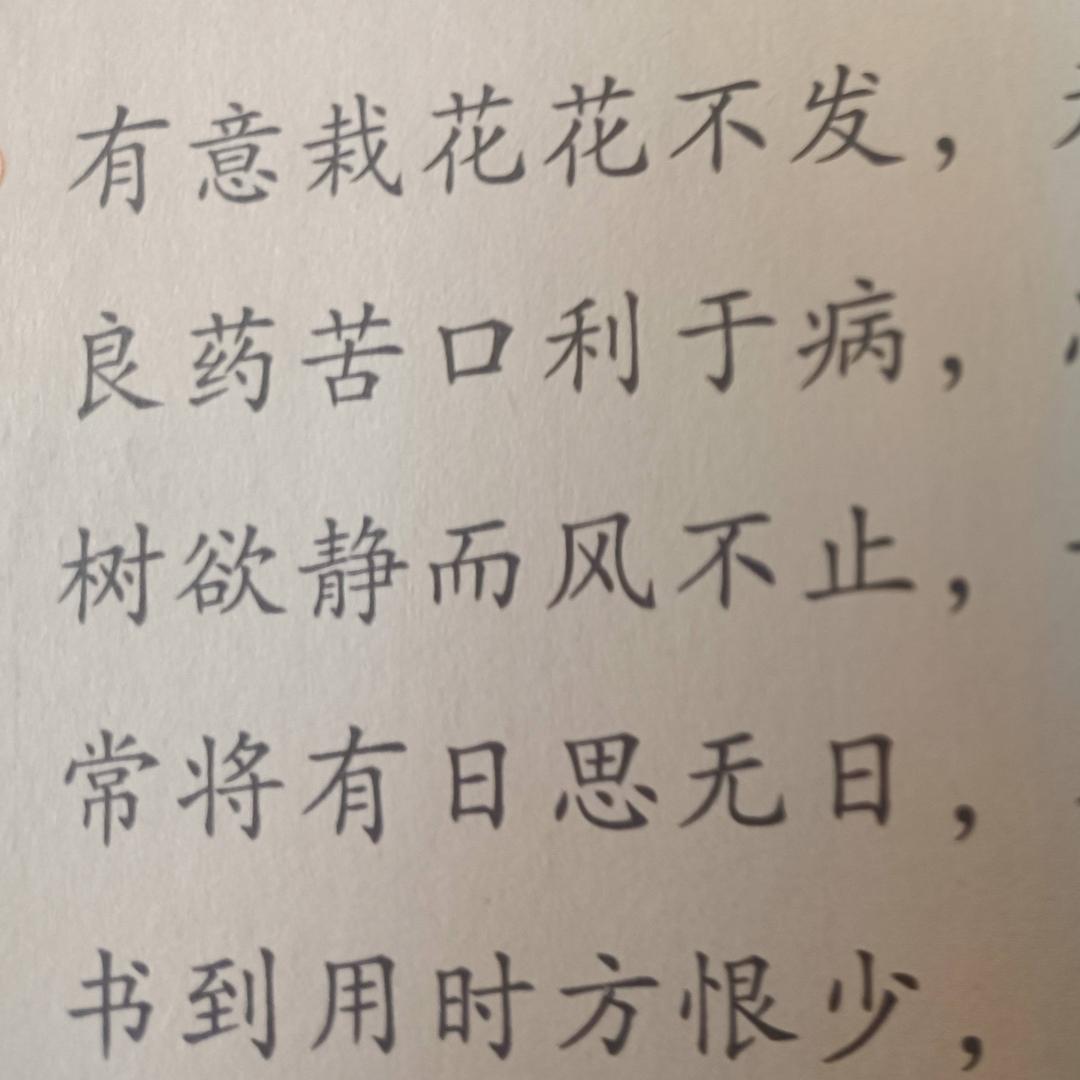 玲玲1