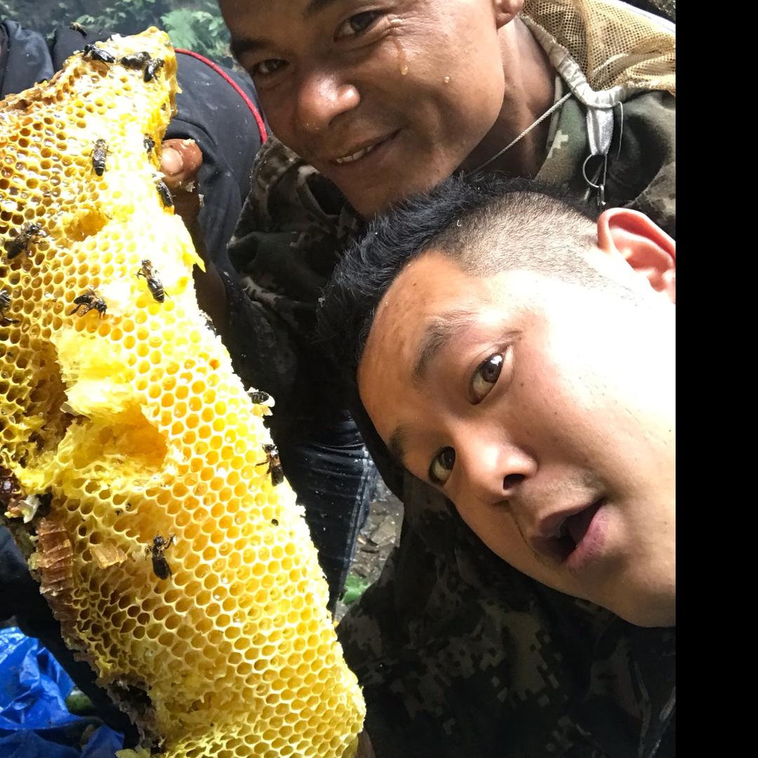 蜜境山珍滋补殿堂
