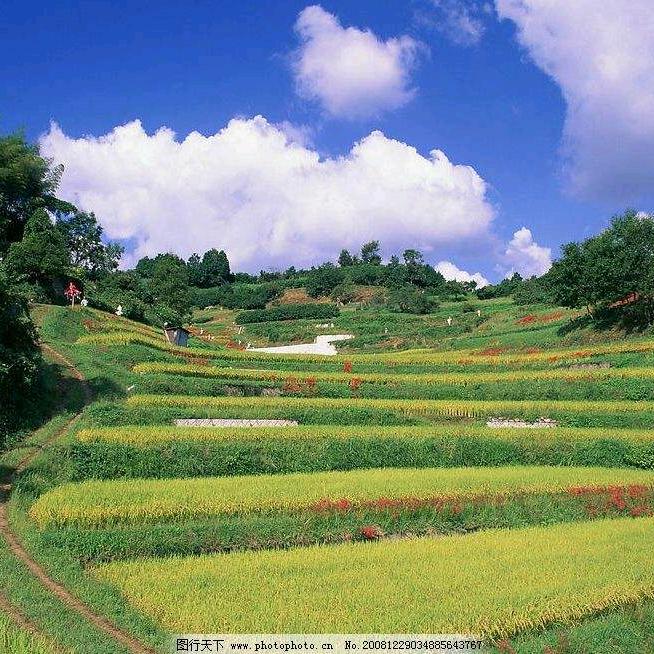 辉县市文昌大道馨艺装饰行