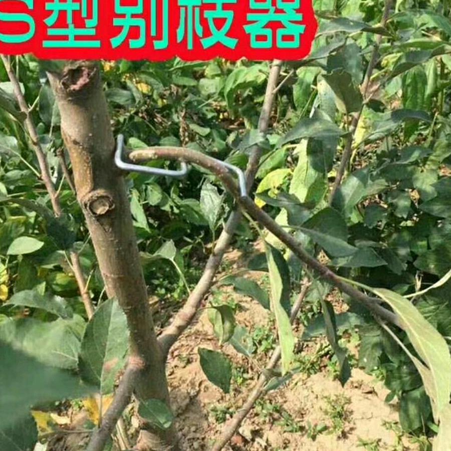 冀州区刘月霞园林材料店