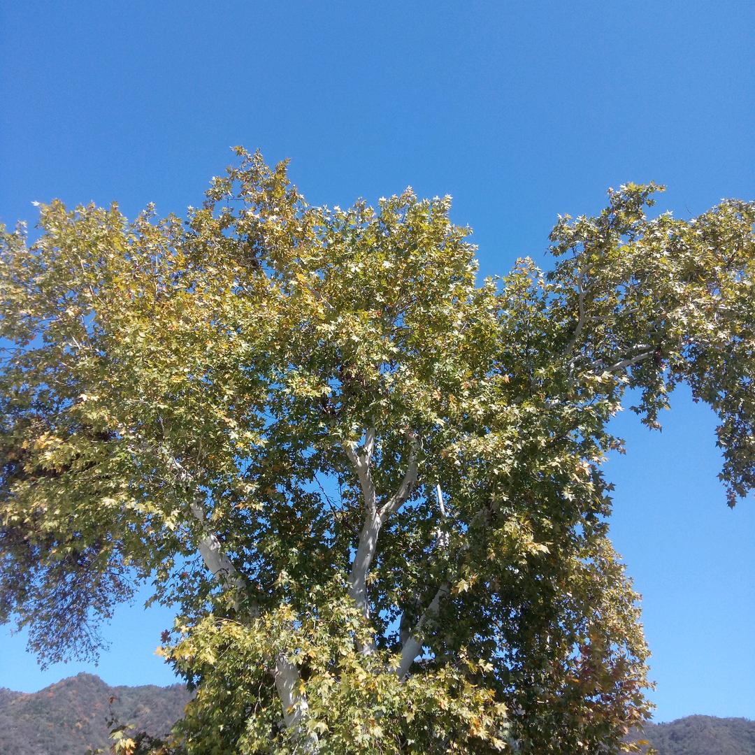 班友林防水油漆