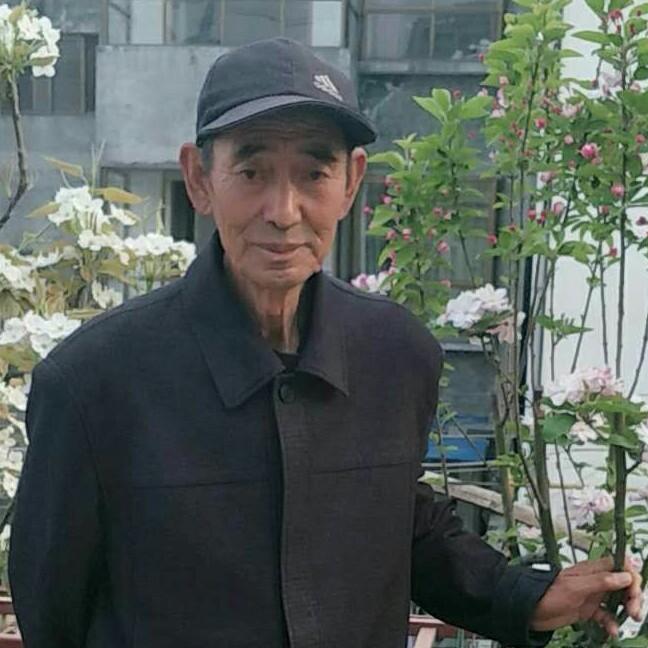 用户夕阳红