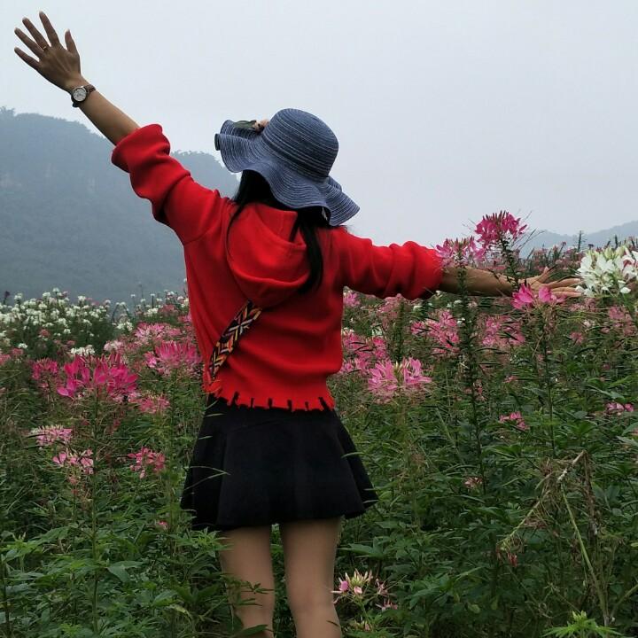 敏儿