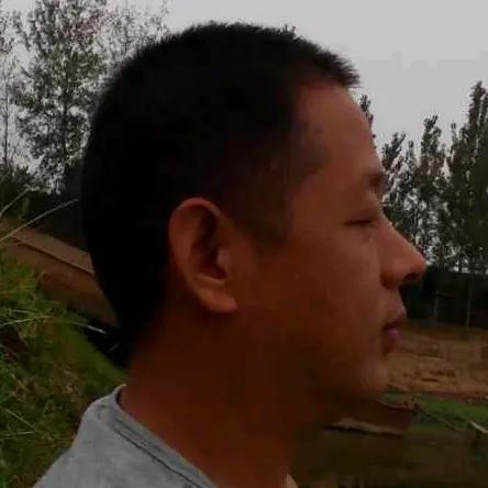 杨树林