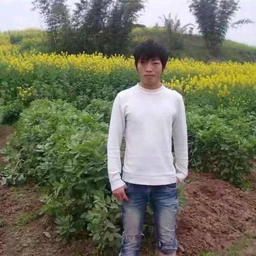 后卿