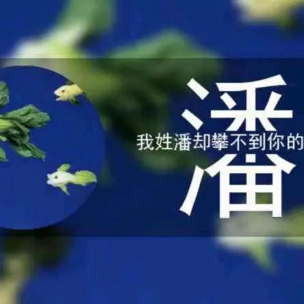 潘修哥