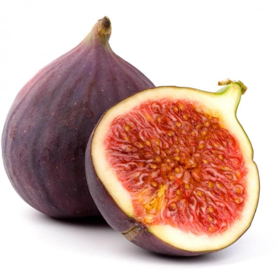 菲果拉