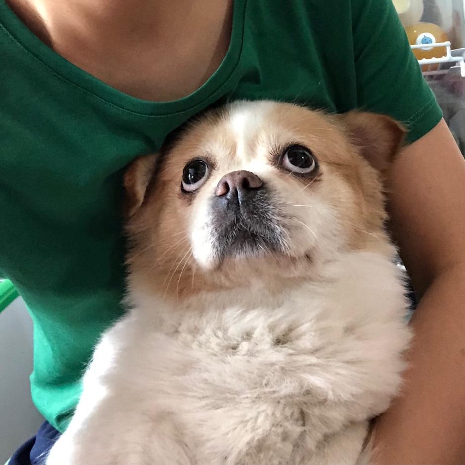 温小白