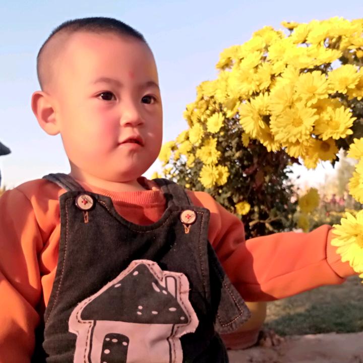 武安魏桂芳