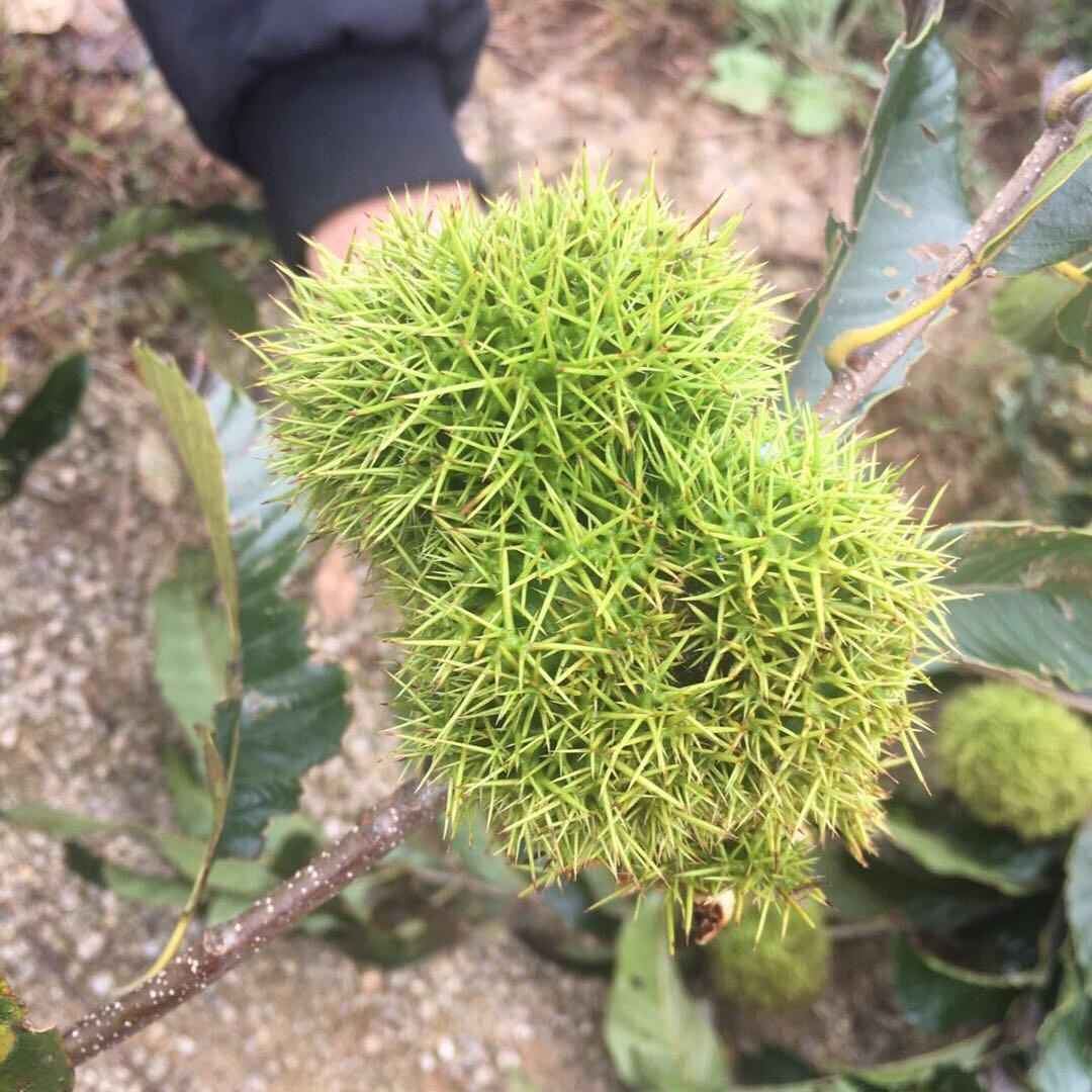 高翔机械设备