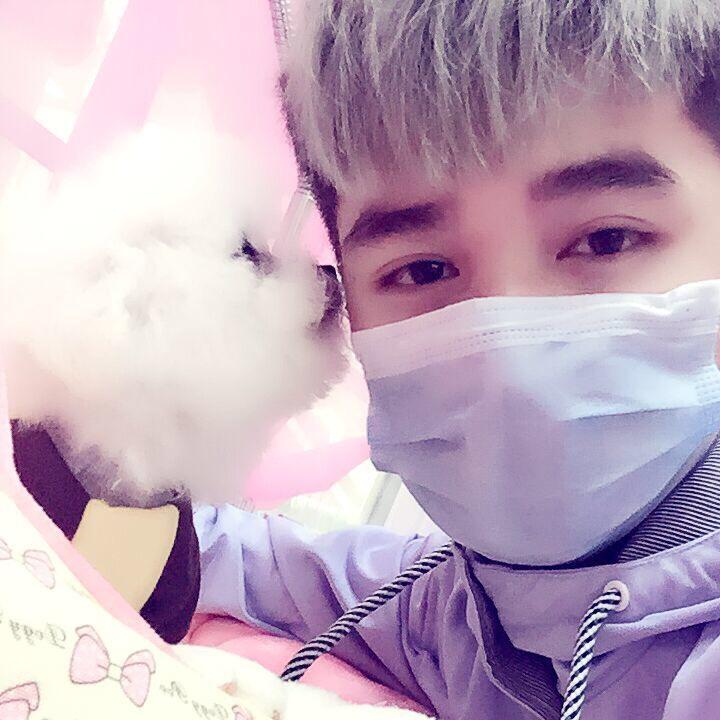 博美会武功