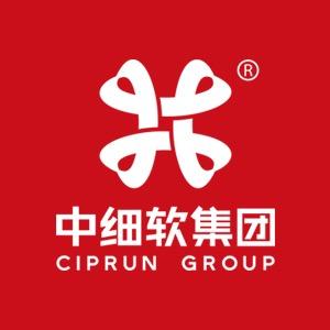 中细软-知识产权