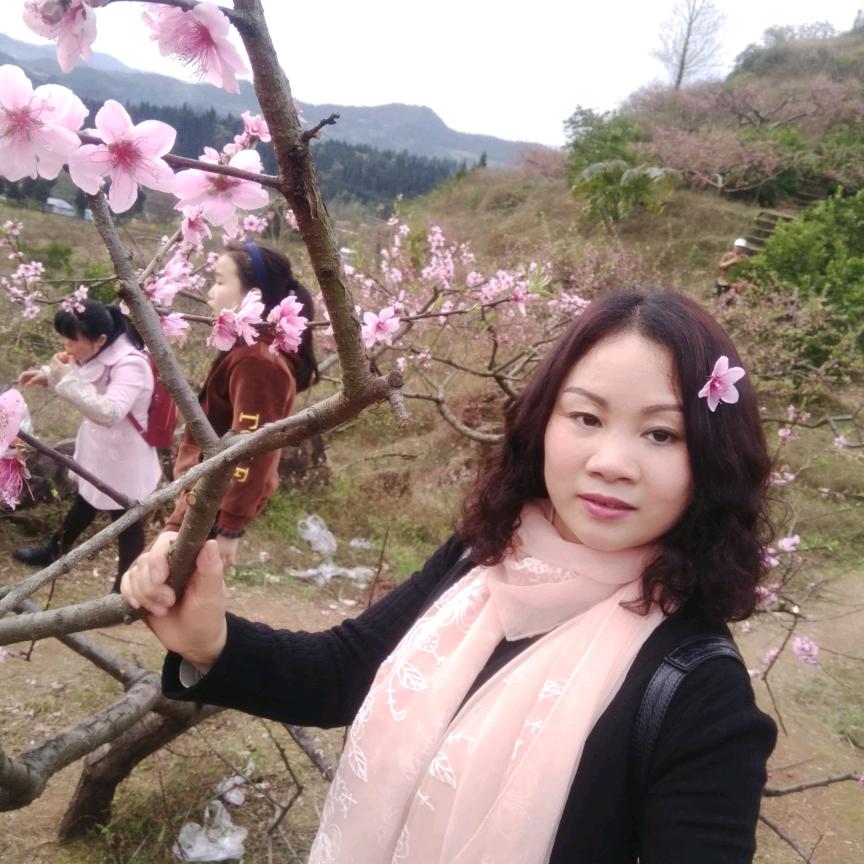 用户忘忧草