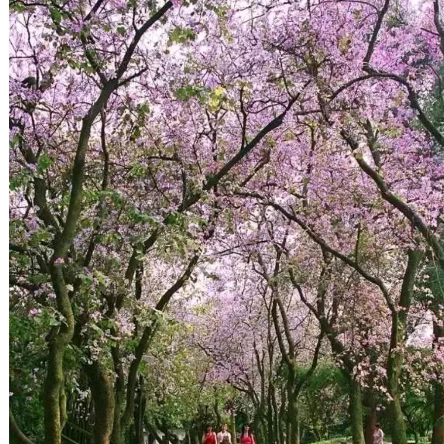 快乐的月月姐