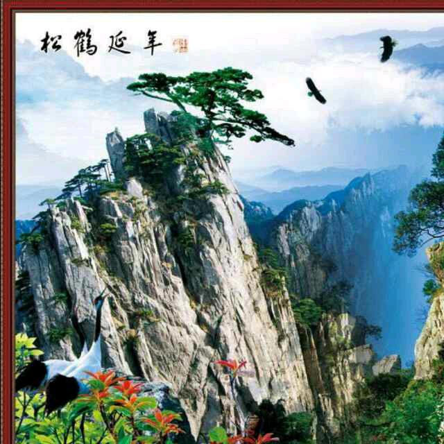 淡泊