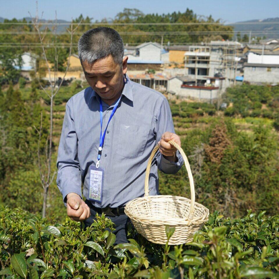 亚和说茶