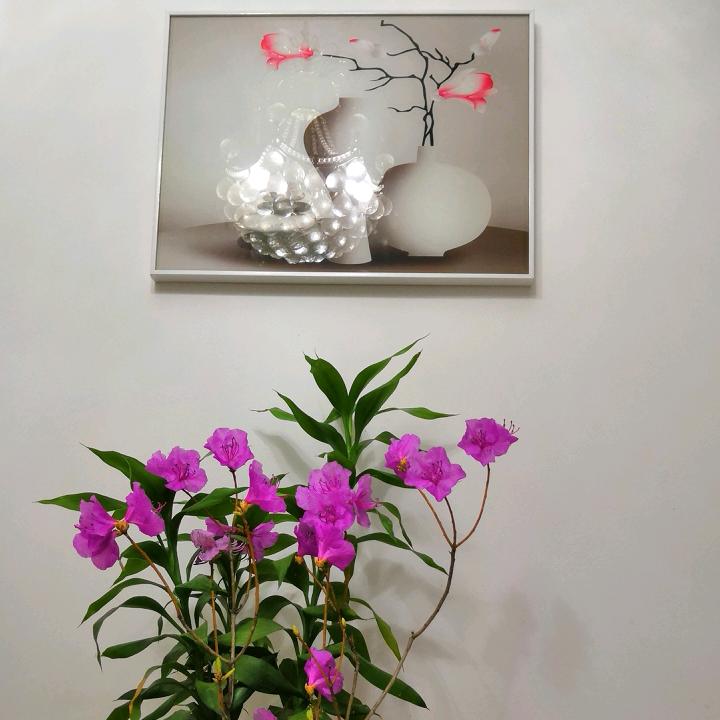 莫忘初心