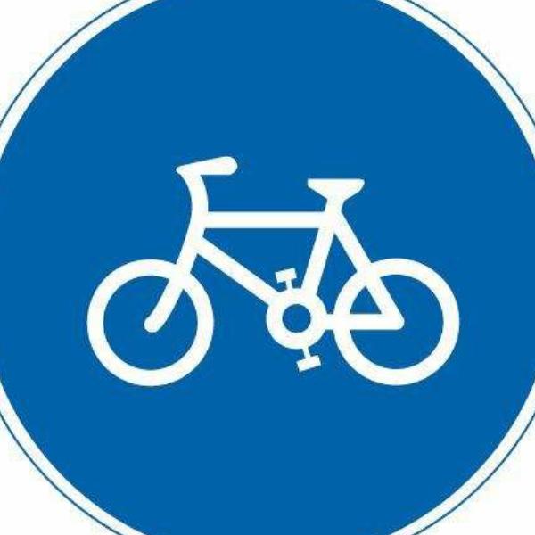 日本丸石自行车