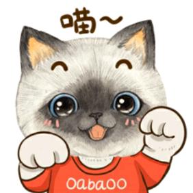 我是一只猫