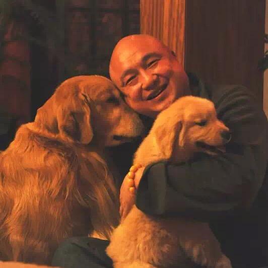 涛哥～金毛匠人（巨星犬舍）