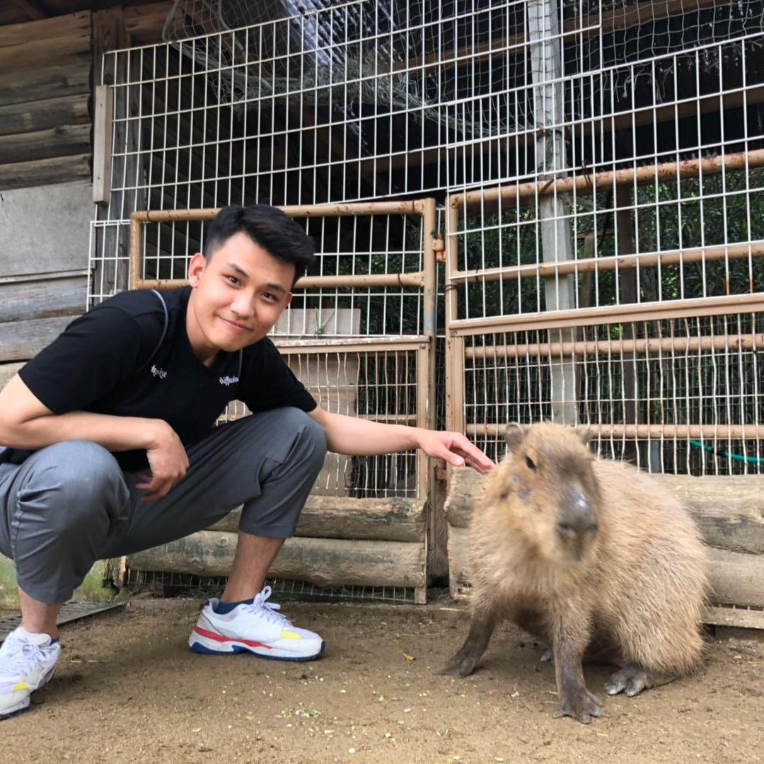 熊猫哥小组长