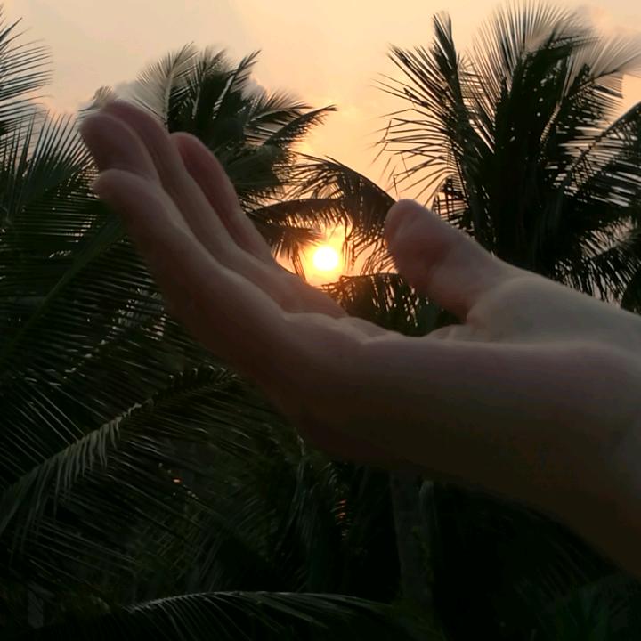 素月