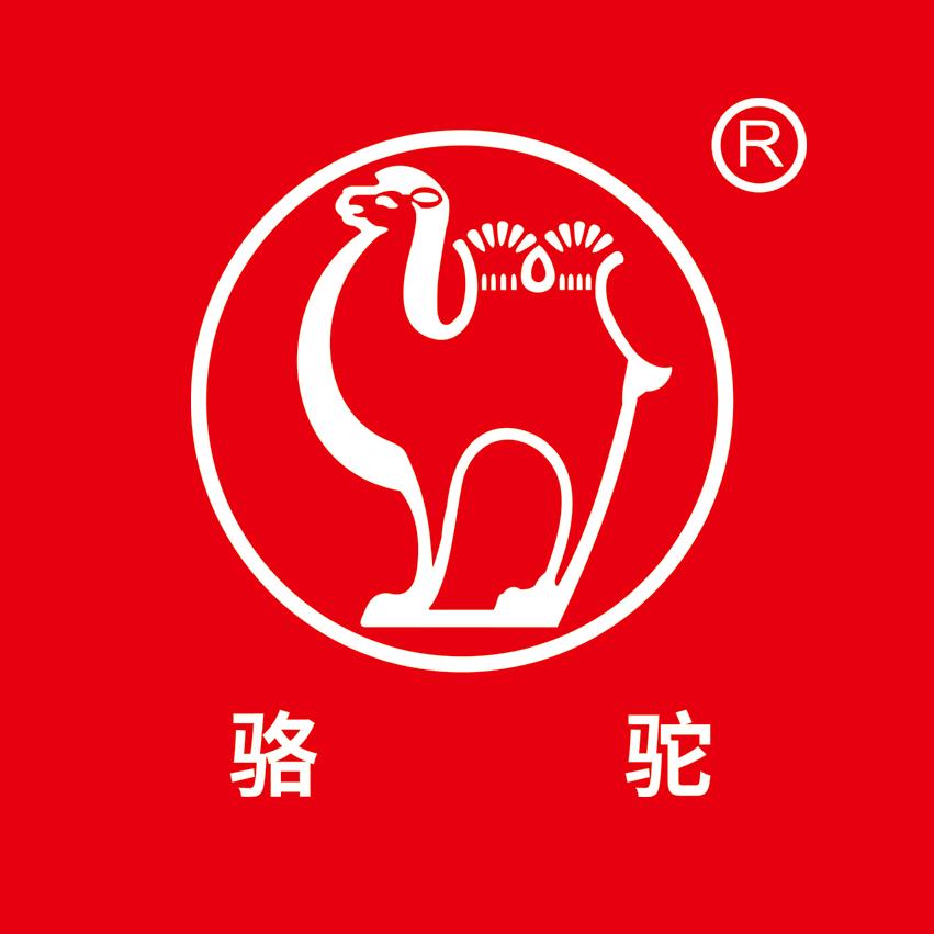 骆驼蓄电池