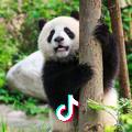 招福