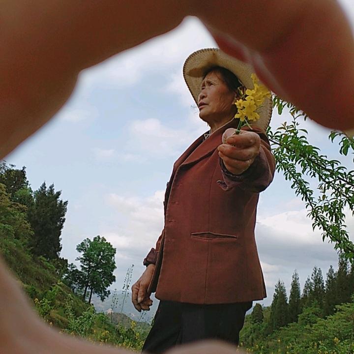 徐良会